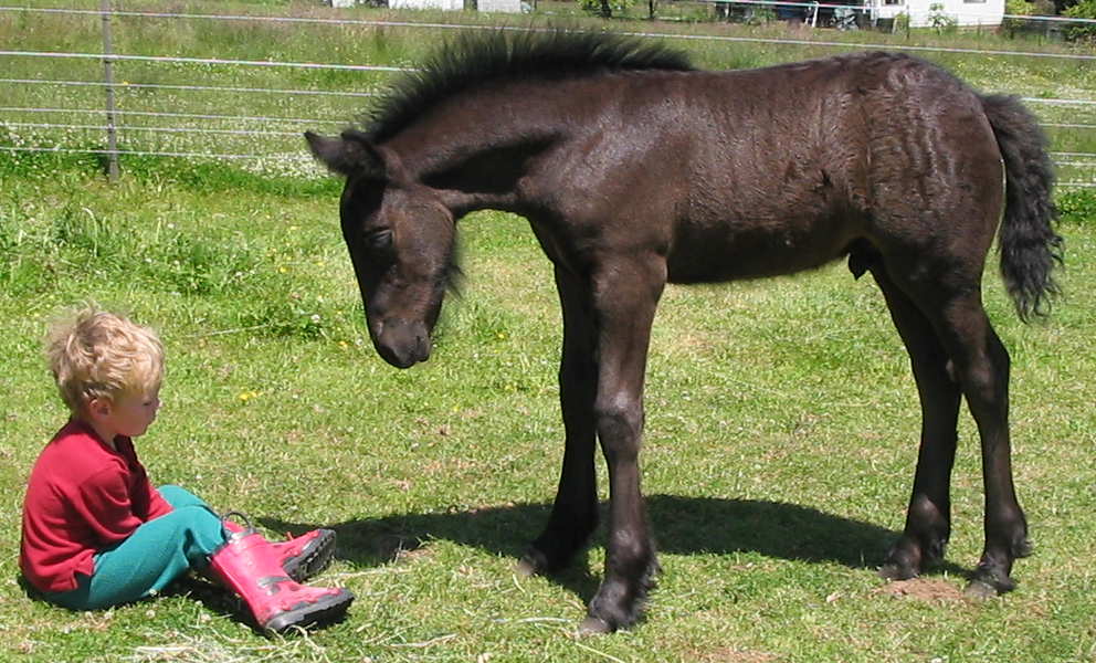 Douglas curious at 3.5 weeks